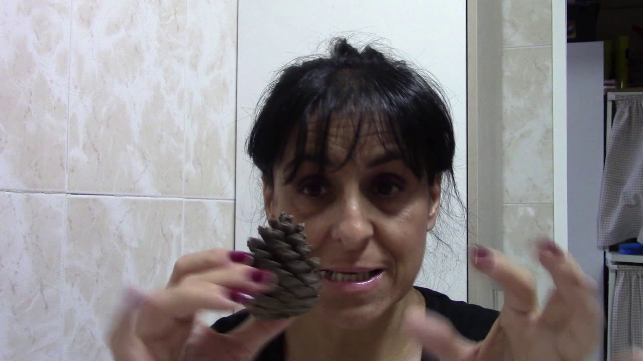 VLOG 923 VAIS A CONOCER POR FIN A MI HIJO