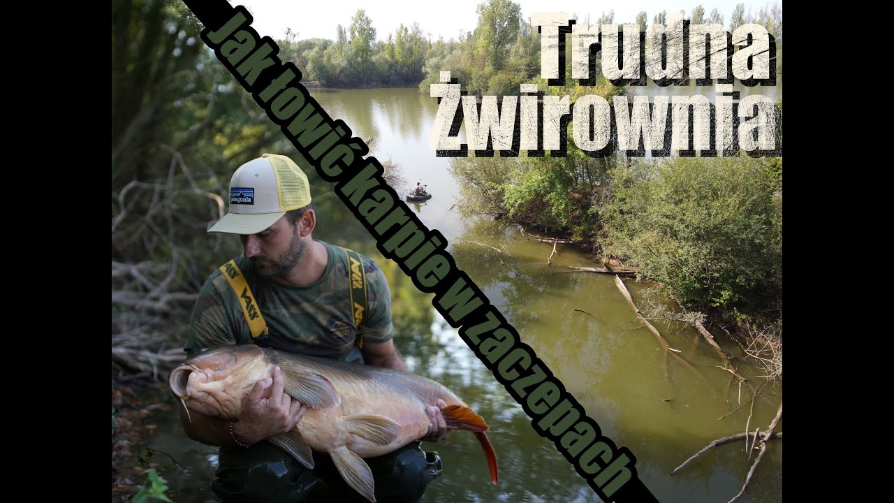 Jak łowić karpie w zaczepach .  Trudna żwirownia