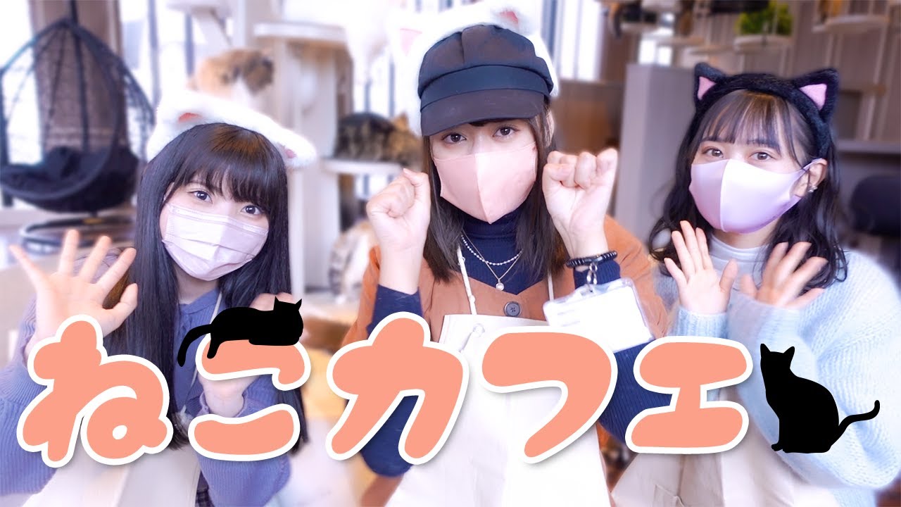 【癒し】かわいいﾈｯｺを前に多種多様なリアクションをするアイドルたち🐈もふもふ【猫カフェ】