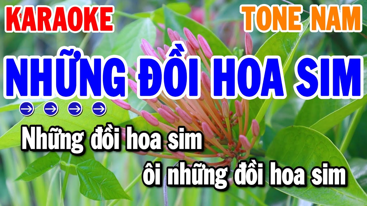 Những Đồi Hoa Sim Karaoke Tone Nam Nhạc Sống Rumba Chuẩn | Thanh Hải Organ