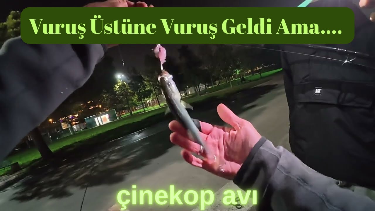 KARTAL SAHİLDE YEMLİ ÇİNEKOP AVI YAPTIK! 