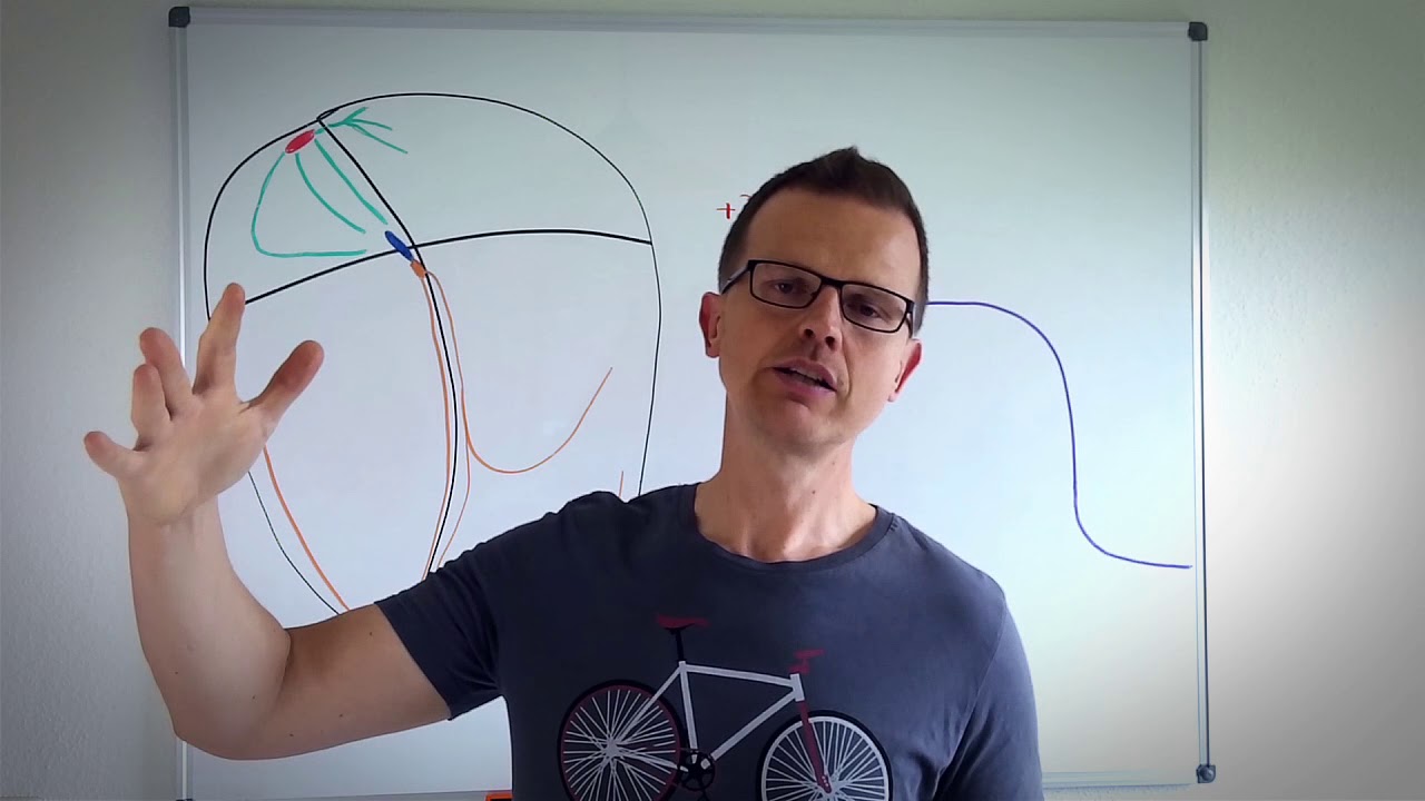 EKG-Lehrstunde: Die Erregungsrückbildung und Das Aktionspotential