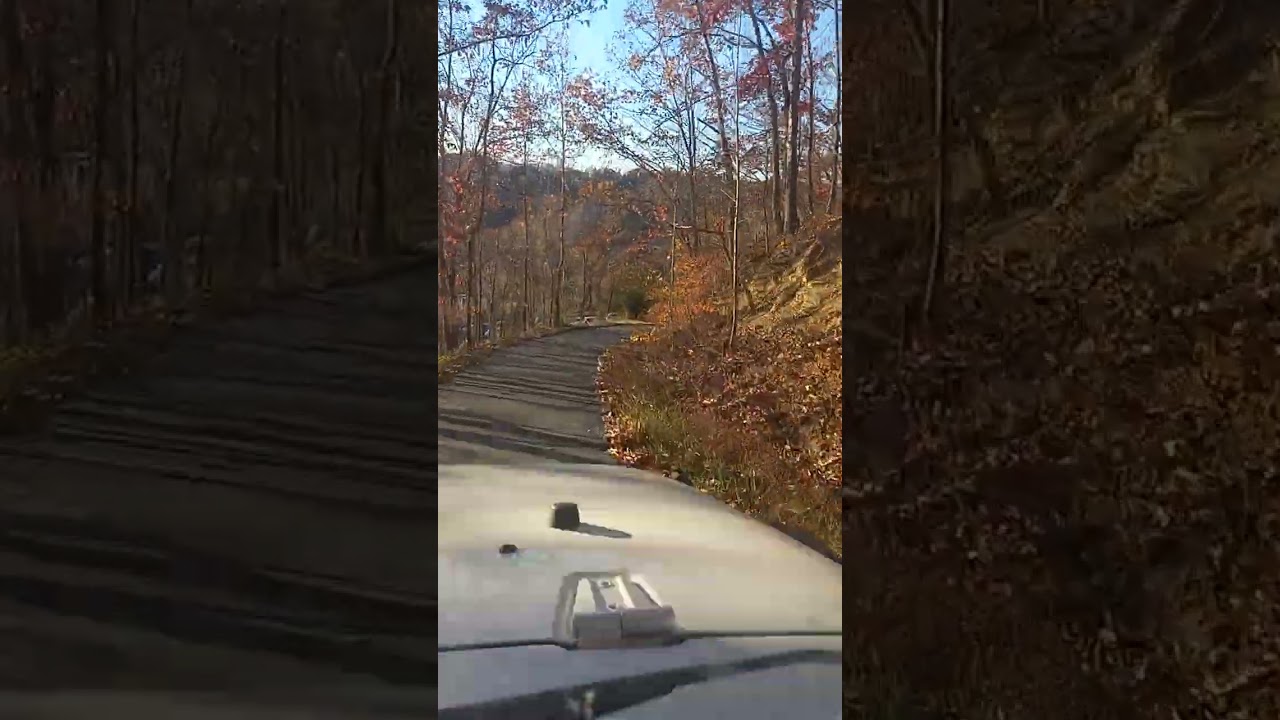 West Virginia Backroads!#westvirginia