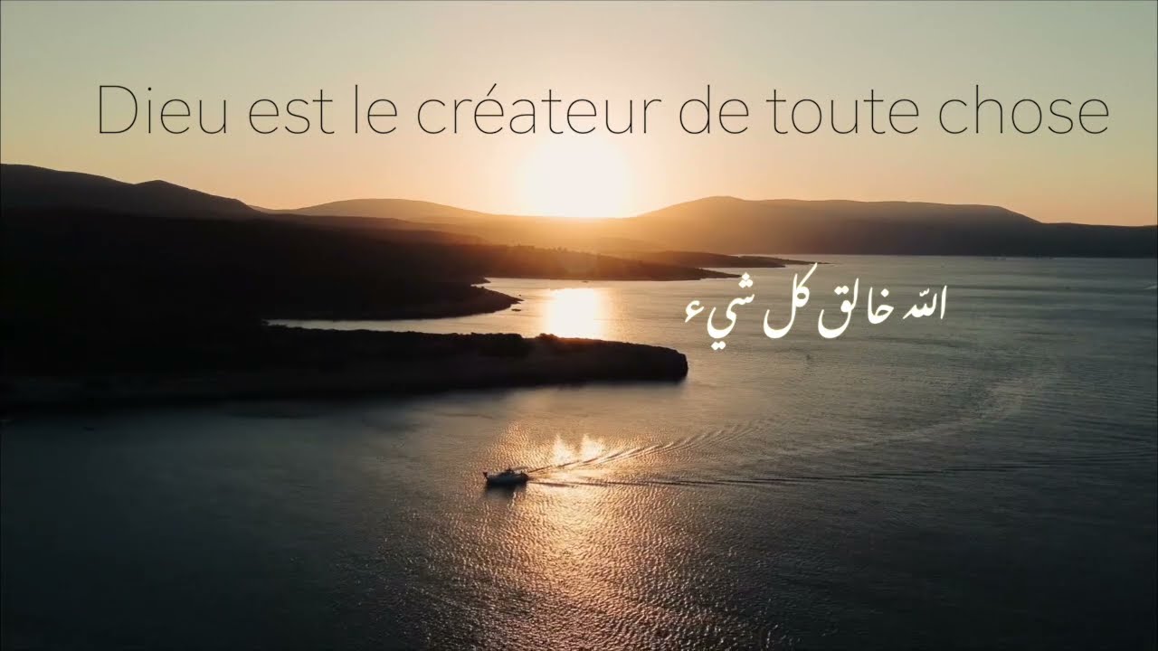 اللّه خالق كل شيء