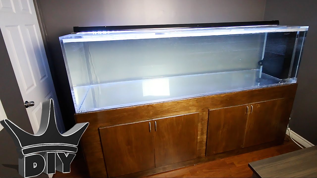 AWESOME NEW AQUARIUM BUILD!!