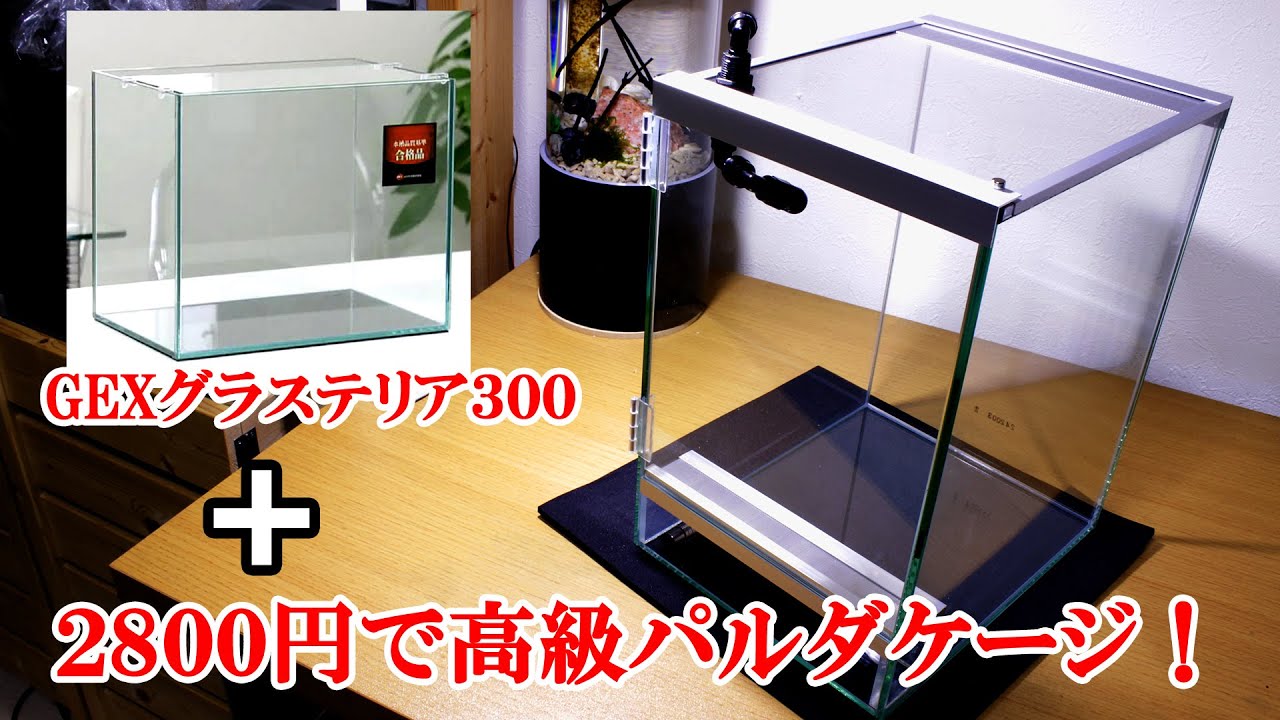 アクアリウム水槽+2800円で高級パルダリウムケージを作ってみた。