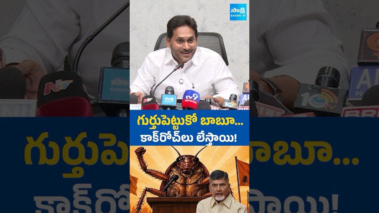YS Jagan🔥ఏపీలో మేము కూడా కాక్&zwnj;రోచ్&zwnj;లమే.. #ysjagan #cockroach #ytshorts #chandrababu #sakshitvlive