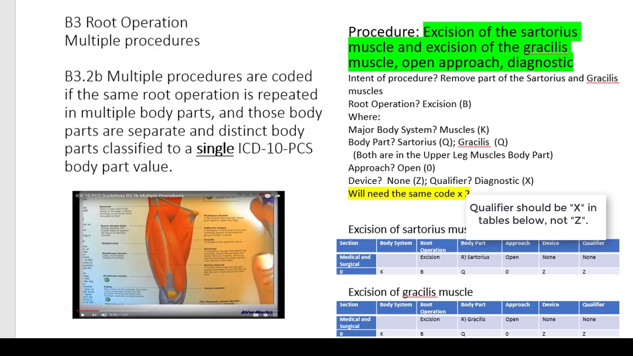 ICD 10 PCS Guidelines Part 1 B2 through B3.5