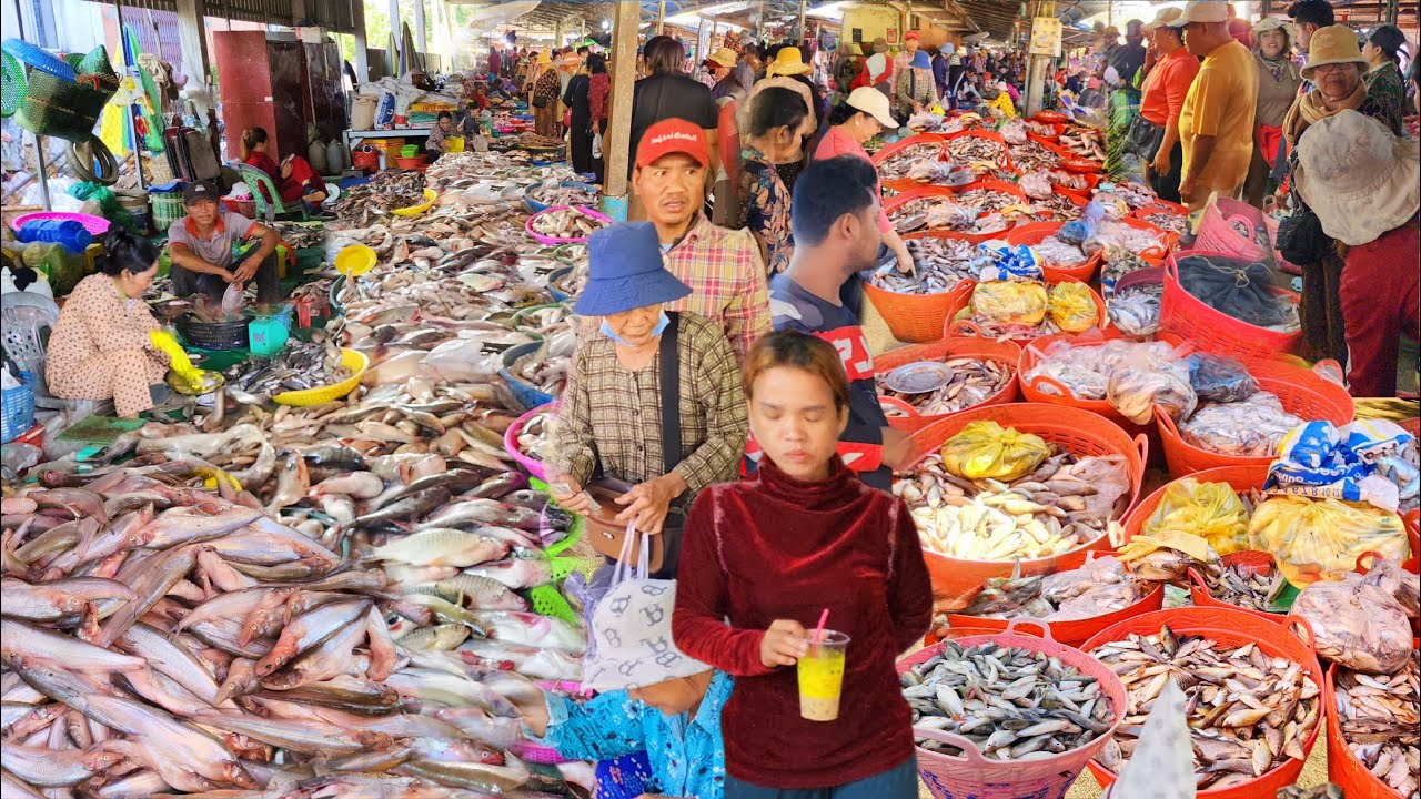 ប្រវត្តិសាស្ត្រហើយផ្សារពន្លៃឆ្នាំនេះ ត្រីសំបូរពេញមួយខ្នើត 🐟👍 || TAT SOKKΕΑ - ΚΗ [Ep. 1129]