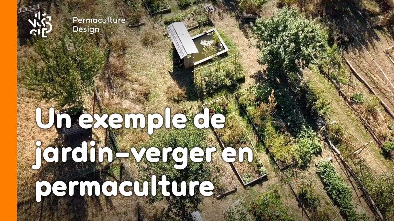 La minute permaculture #21 : Un exemple de jardin-verger.