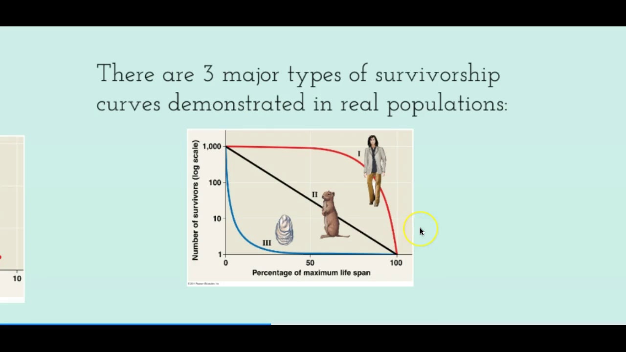 Population Dynamics