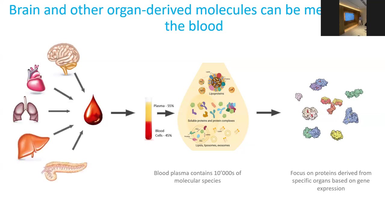 From Rejuvenation With Young Blood To Personalized Aging Interventions