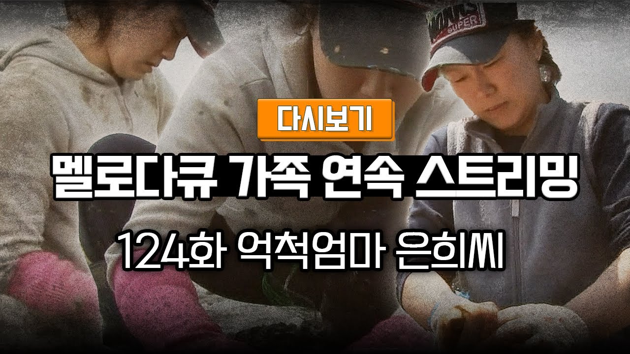 [다시보기] OBS 다시 보는 멜로다큐 가족 124화 억척엄마 은희씨 (풀영상)