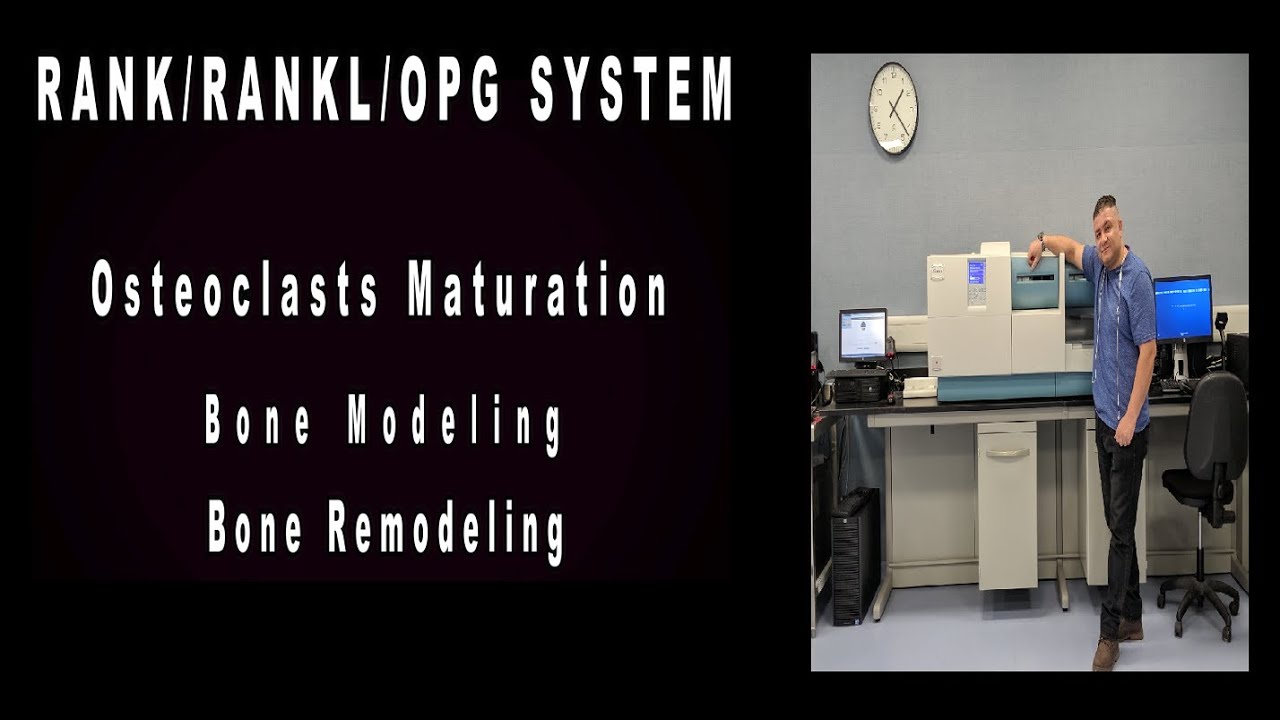 14- General Hematology | Overview of  RANK RANKL OPG Pathway