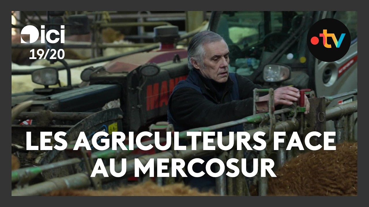 L'inquiétude des agriculteurs face à l'application du Mercosur