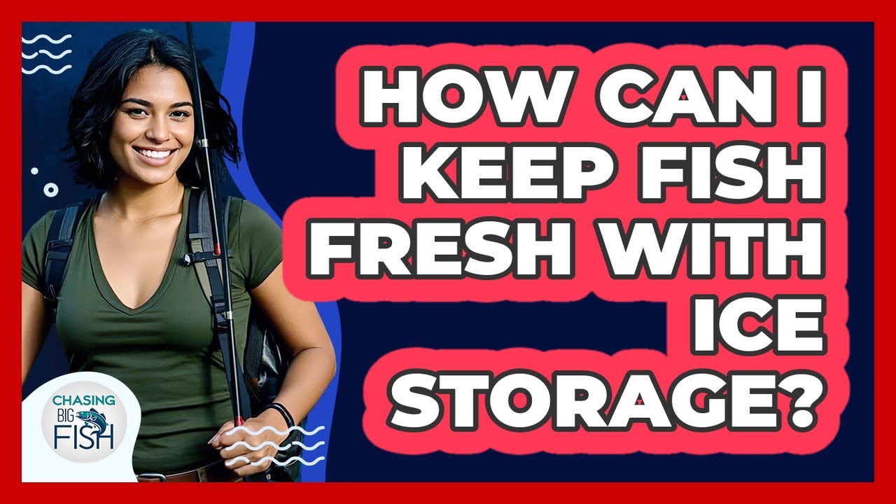 How Can I Keep Fish Fresh With Ice Storage?