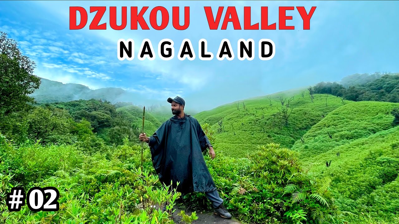 Dzukou Valley trek in Rainy season🌧️ || Beautiful Nagaland 🌺