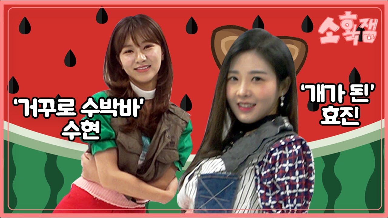 수현이 만든 옷 입고 개🐶가 된 효진!? | [소확잼 시즌2 7화]