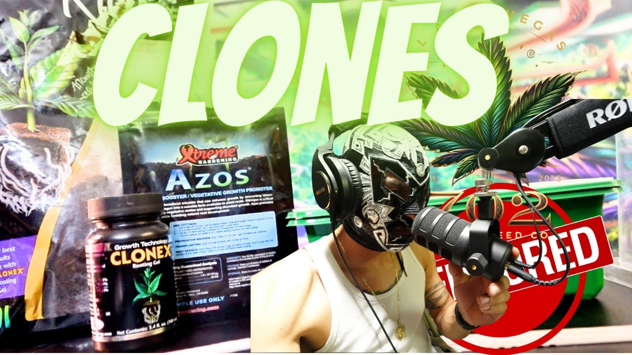Clone Like a Pro: Step-by-Step Trap House 22 Cloning Tutorial with Root Riot & Clonex!