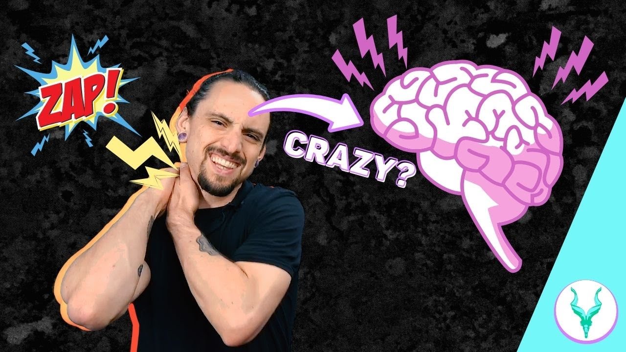 IS CHRONIC PAIN IN THE BRAIN? Pain Science Education