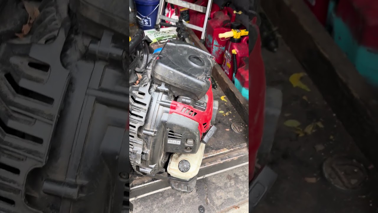 What to expect from a redmax 9000 or husqvarna 590 in only one year of use if used everyday