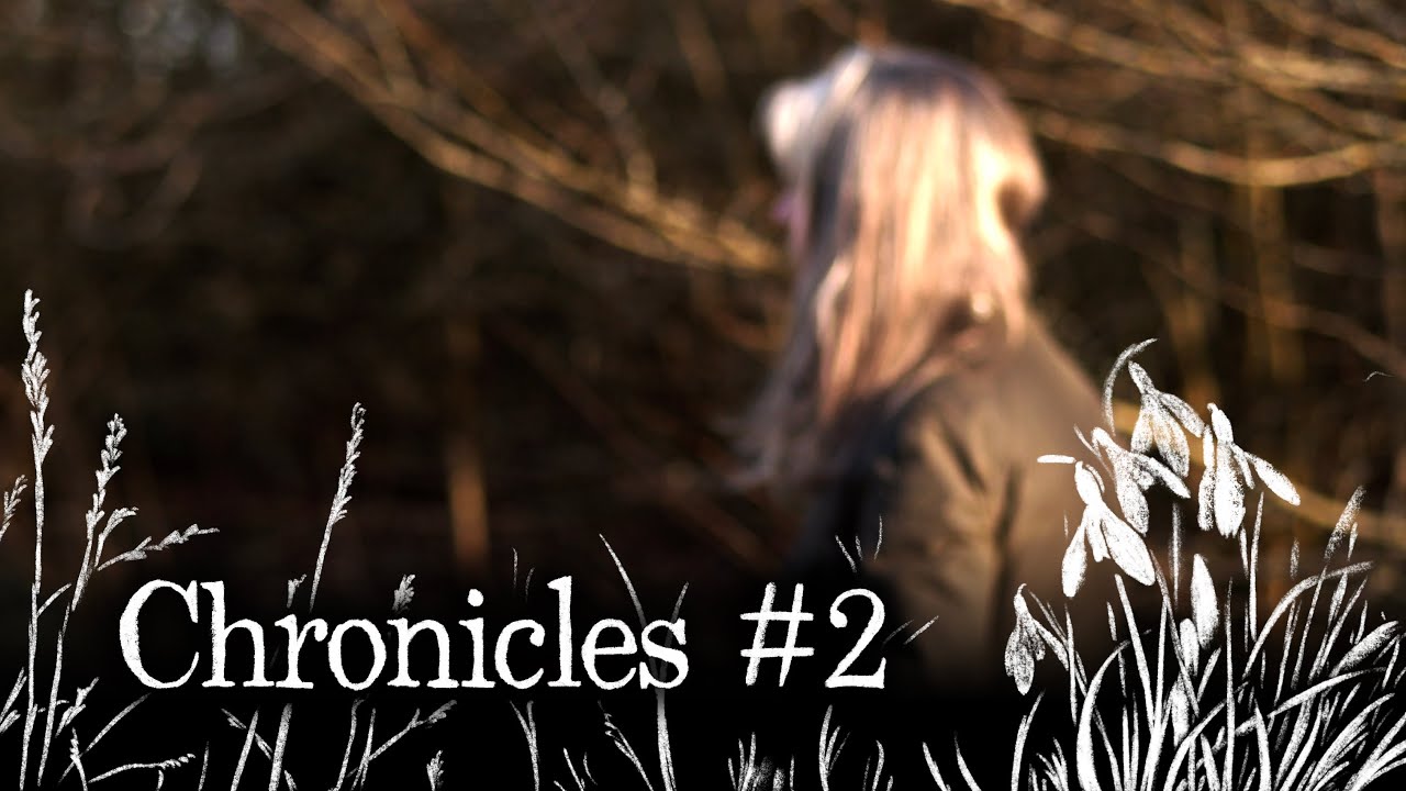 Chronicles #2 | Calm