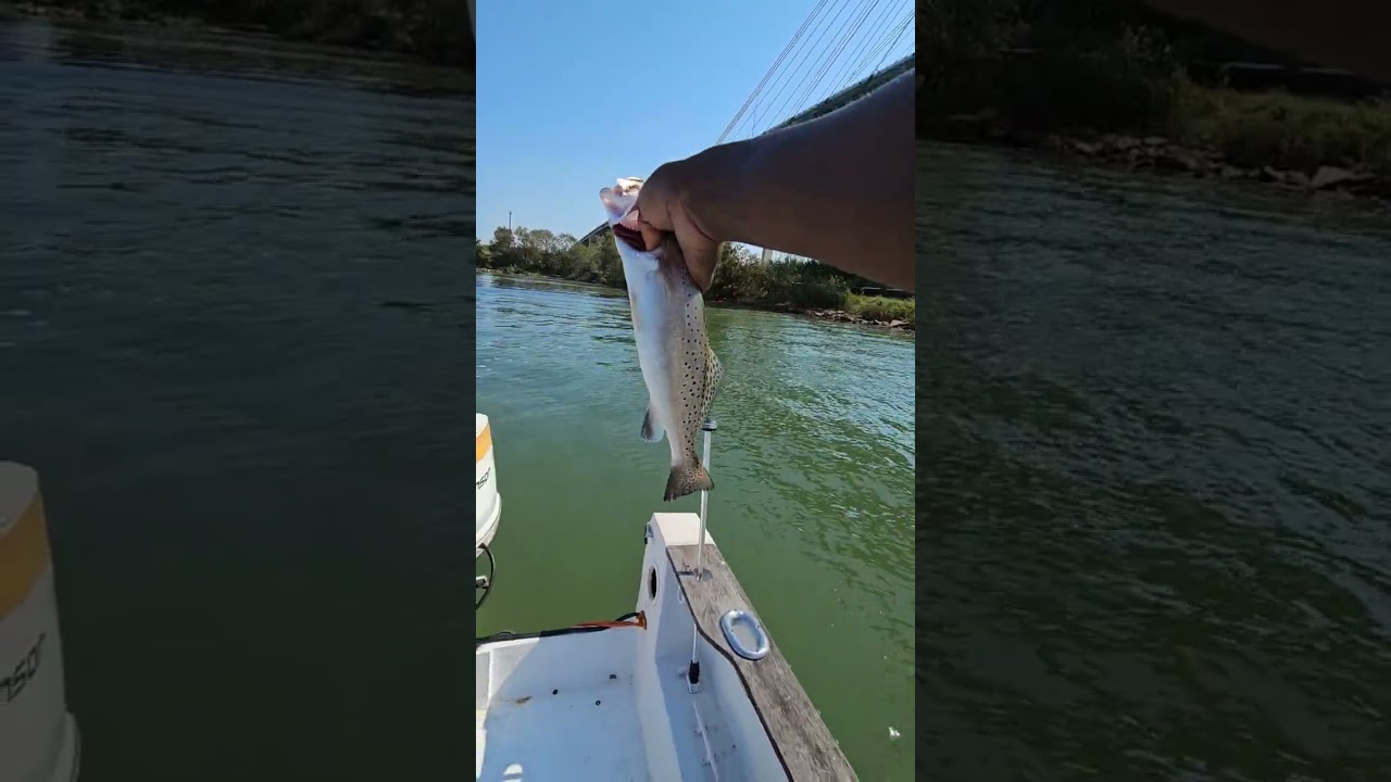 Today i got Audit by the Texas Game warden..