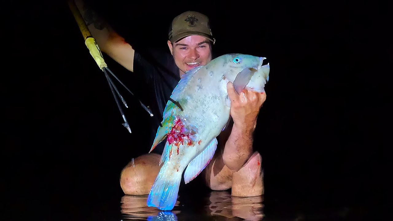 HANDSPEARING GIANT TUSKYS