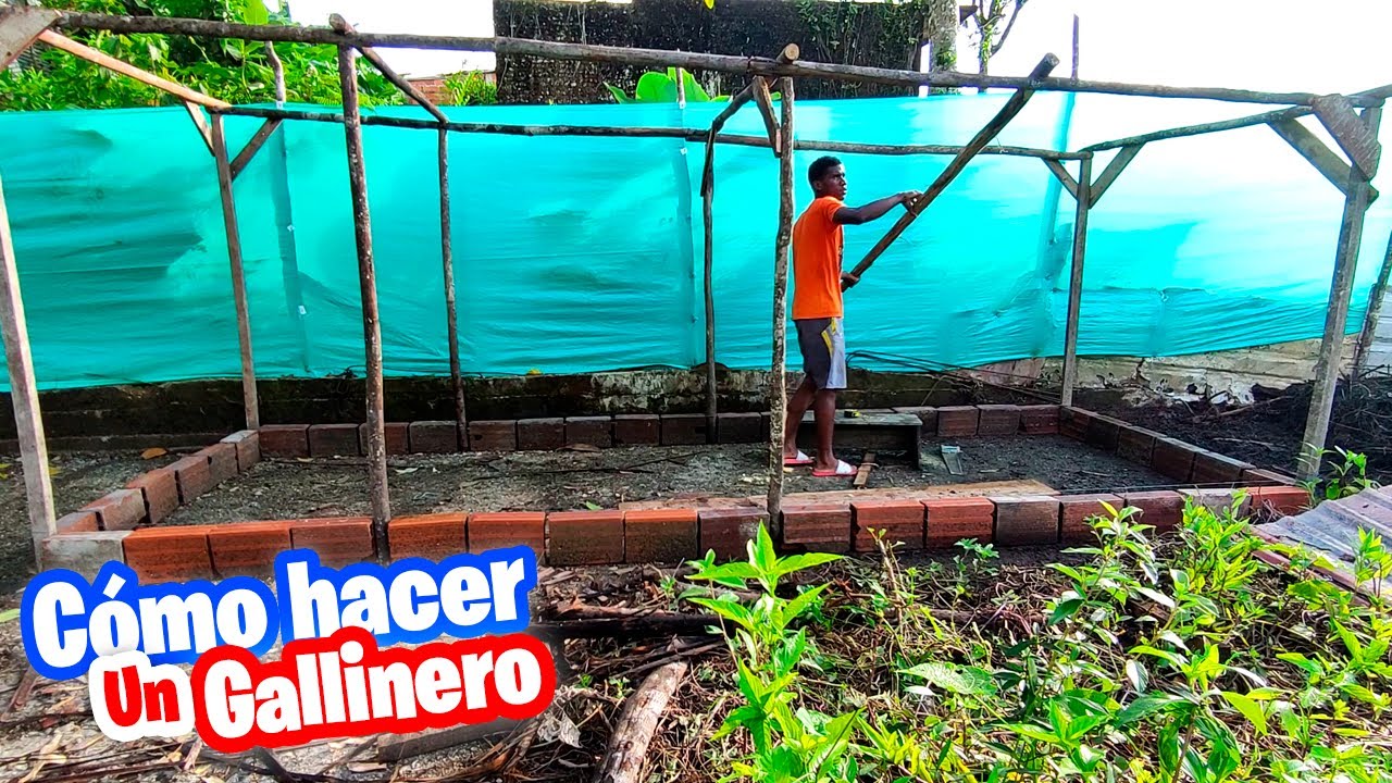 Construyendo el Nuevo Gallinero | Como Hacer el Mejor GALLINERO Parte 1