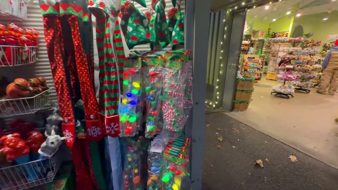 Gift shop tour Bronx Zoo Holiday lights 2025