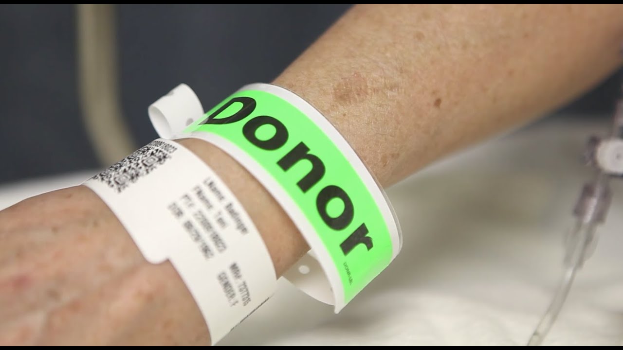 Living Gift: A Kidney Donation Story
