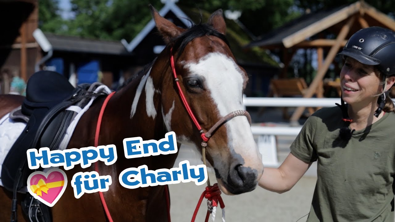 Westernreiterin sattelt um – Große Veränderung für Quarter Horse Charly | pferde doku