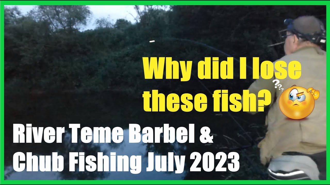 River Teme Barbel & Chub Fishing July 2023 🎣