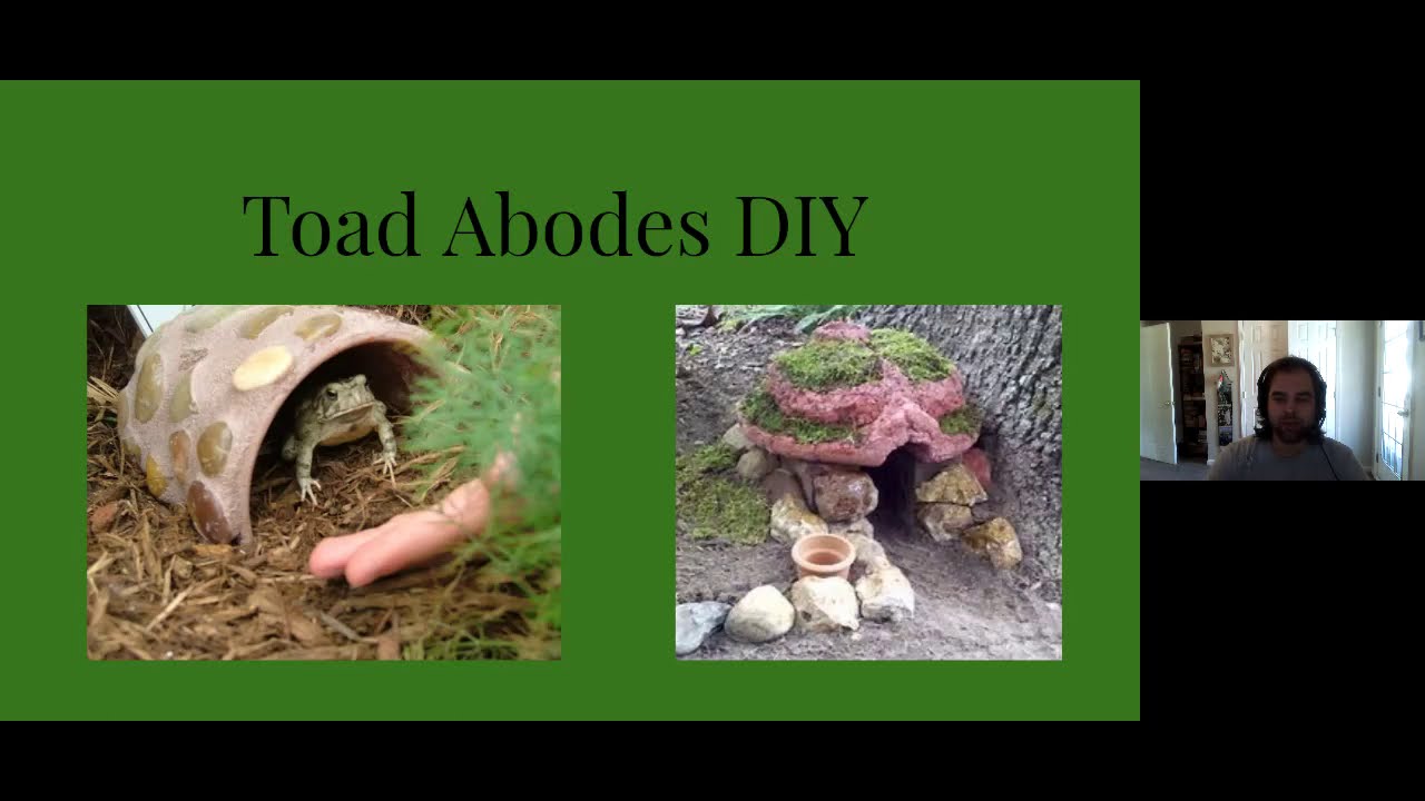 A Toad Abode for Your Yard