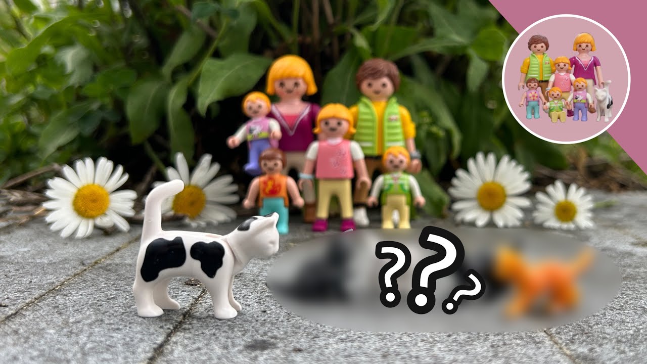 Playmobil Film deutsch Die Katzenbabys 🐈Geschichte mit Familie Kägi
