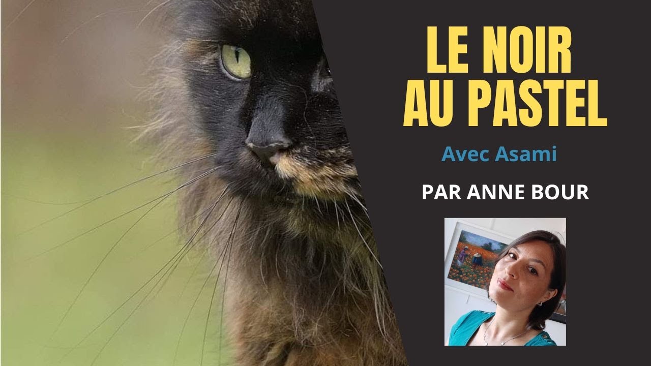 Dessiner le noir au pastel sec- un chat 