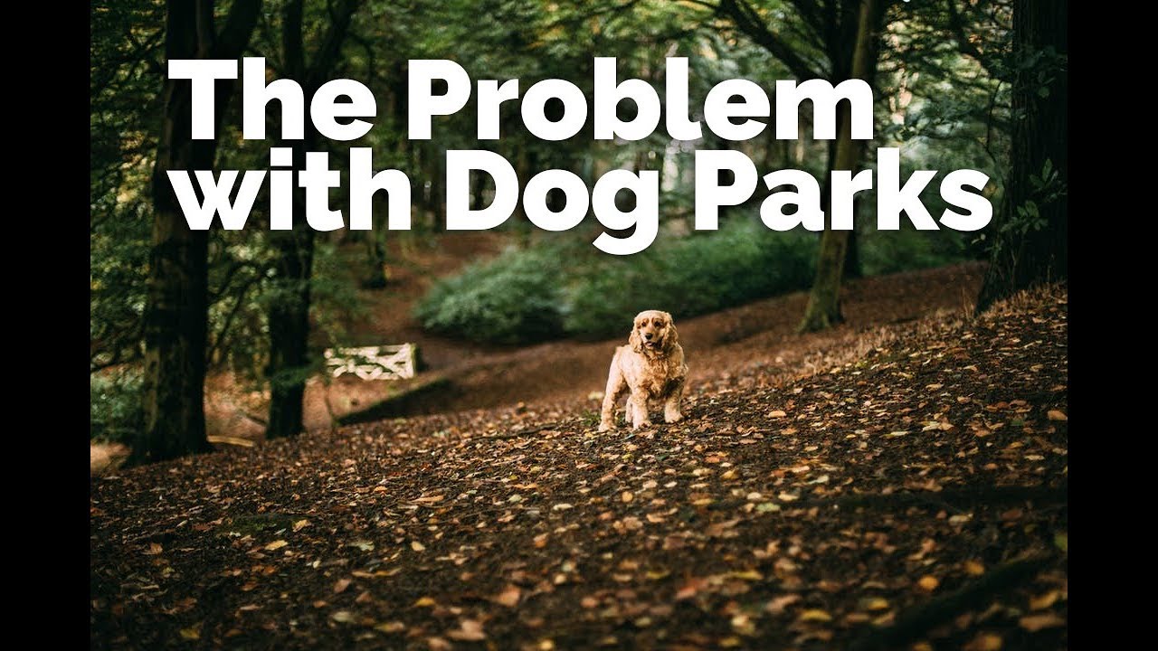 The PROBLEM with Dog Parks