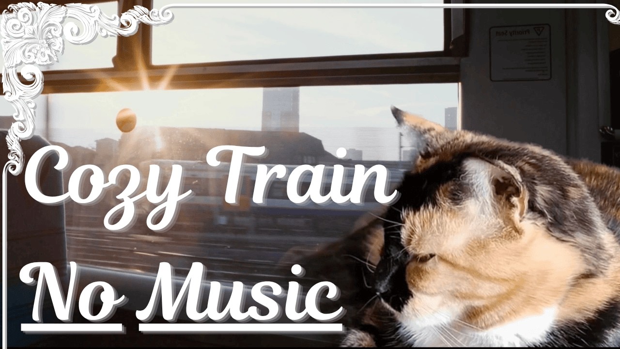 Train Sound Massage w/ Cat's Purrs