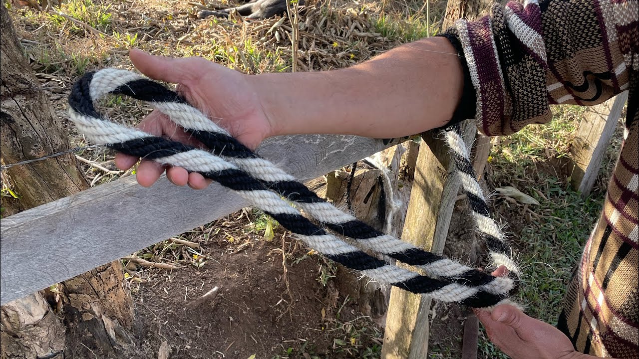 Fabricando uma r&eacute;dea de crina de cavalo
