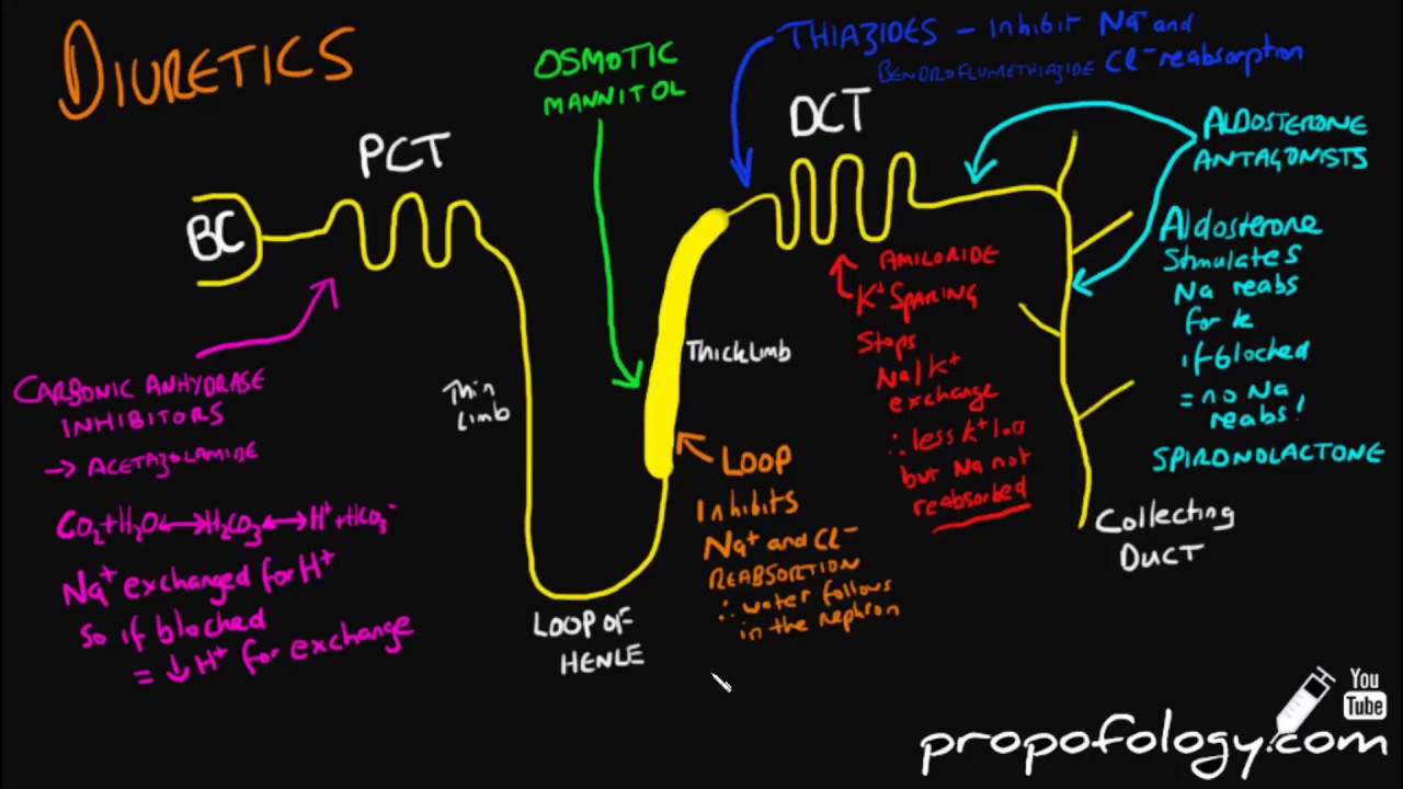 Diuretics in 3 Minutes! [Pharmacology]