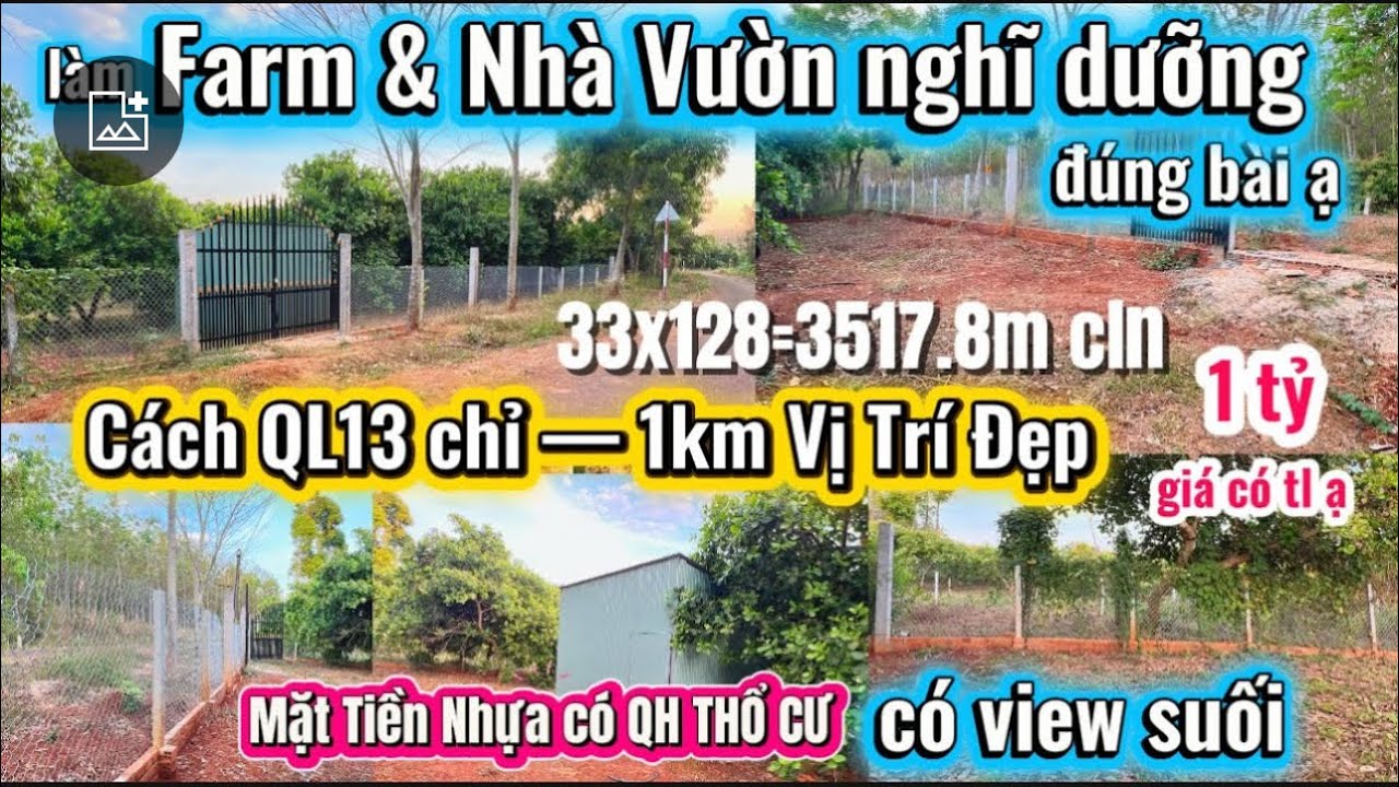 Đất Đỏ BaZan 🍀+ MẶT TIỀN NHỰA + view suối nữa thì làm VƯỜN TRÁI CÂY là đúng bài hén Cả Nhà🤩