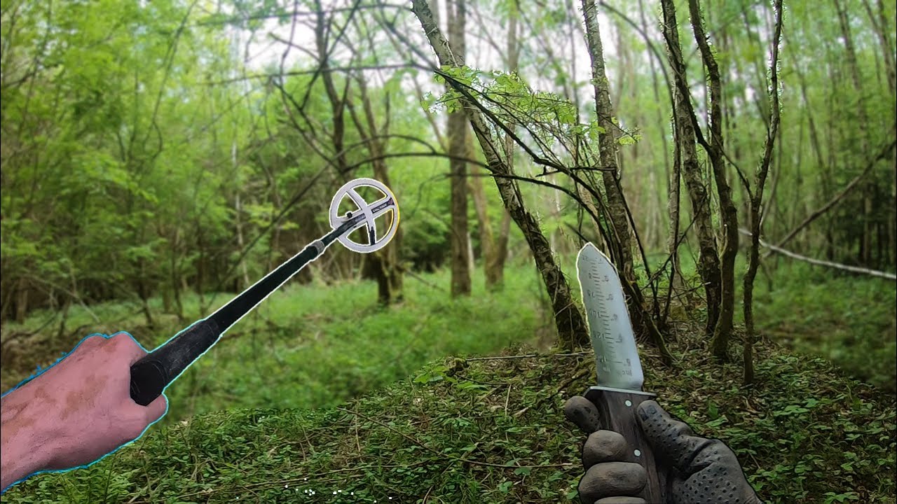 IL Y A QUELQUE CHOSE DANS CE BOIS ! Détection de métaux - Terre Happy