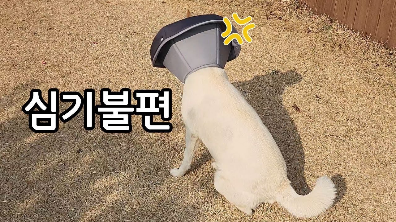 백할머니 아프지 마세요ㅠㅠ