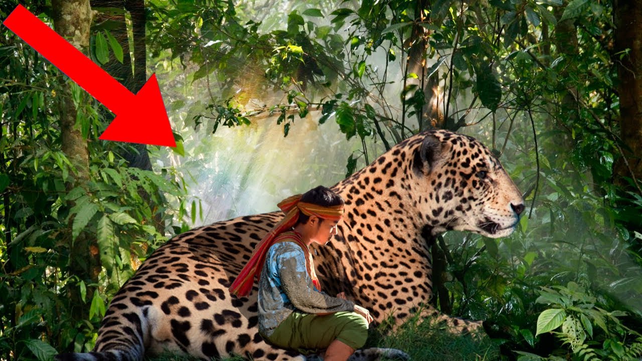 9 CRAZIEST Stories Of People Being Raised By WILD ANIMALS!