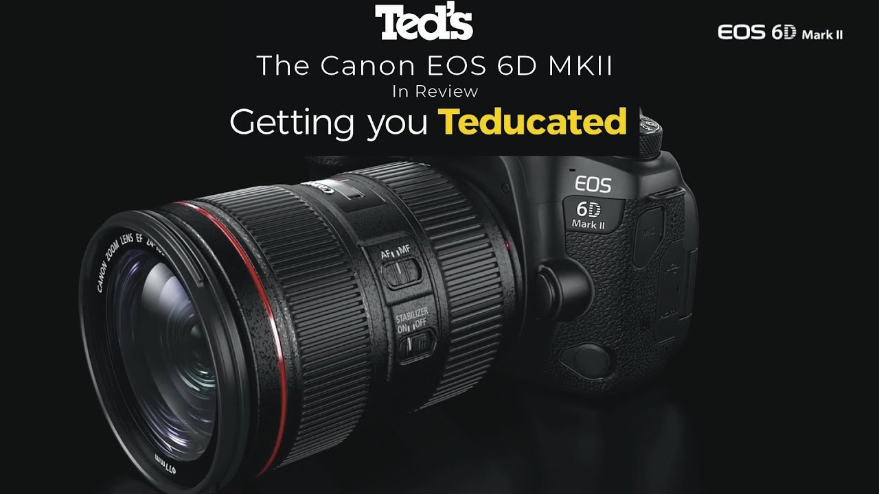 The Canon EOS 6DMKII In Review