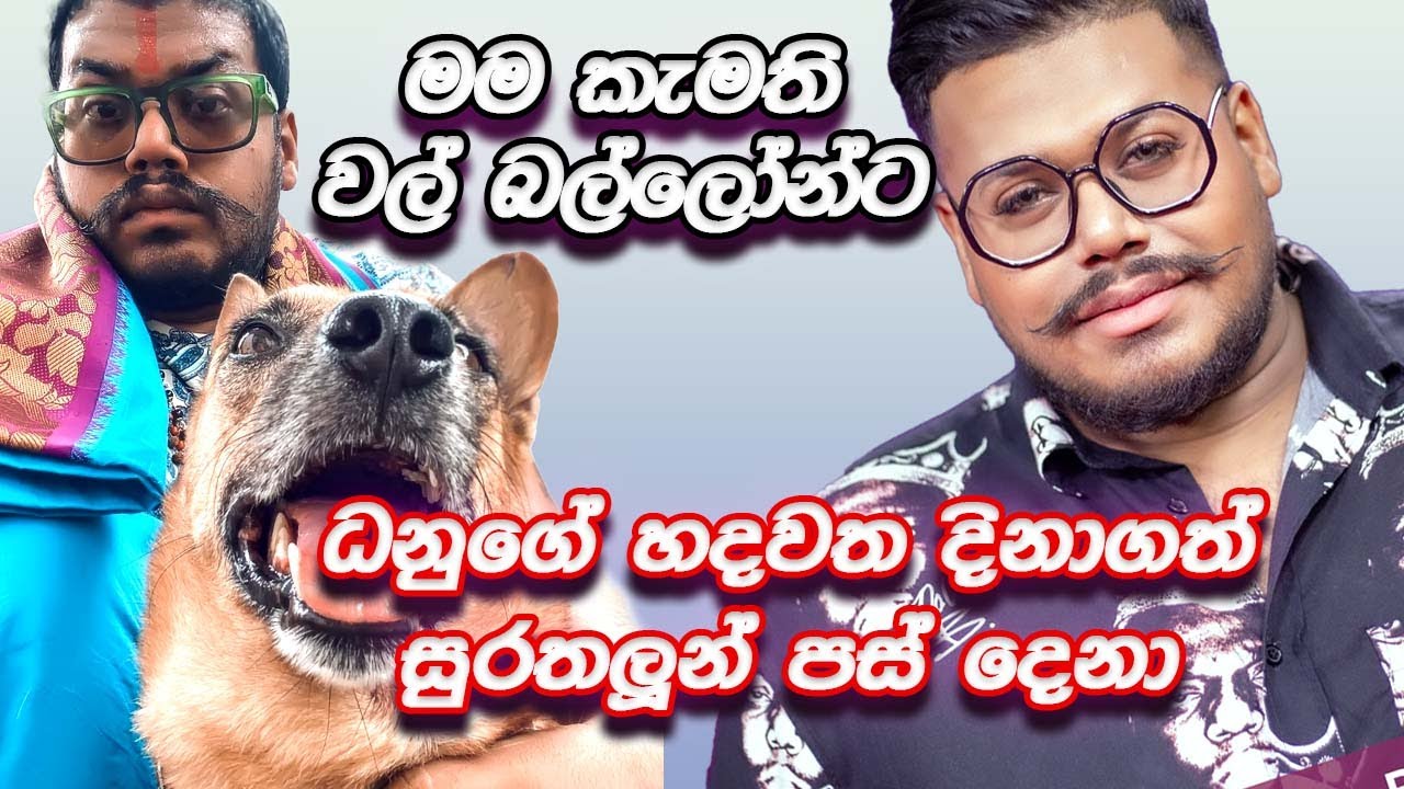 ධනුගේ හදවත දිනාගත් 🐶 සුරතලූන් පස් දෙනා🐕මම කැමති වල් බල්ලෝන්ට 🐱Danu Innasithamby | ධනූ ඉන්නසිතම්බි