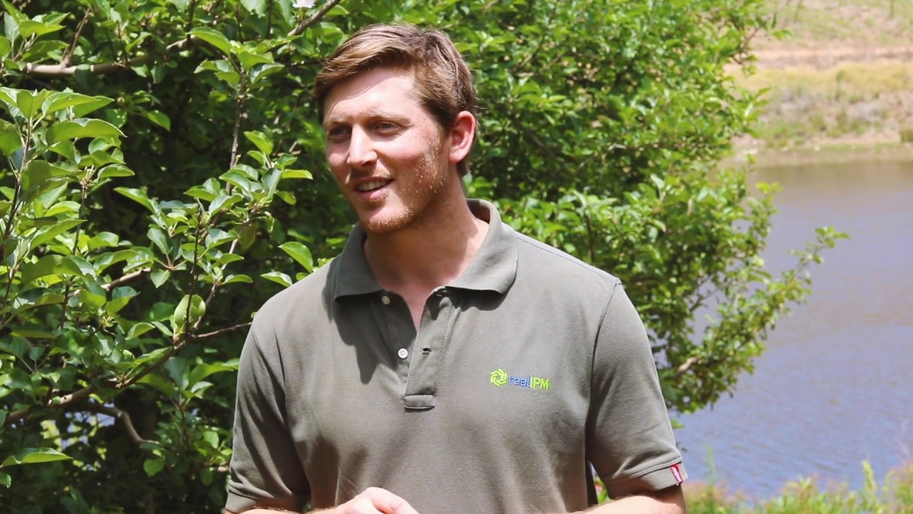 Meet The Kuiper Family | Not Far From The Tree - Episode 1