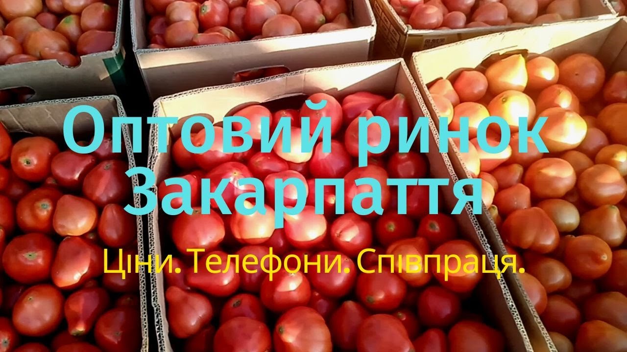 Оптовий ринок Закарпаття. Ціни на овочі. Контакти для співпраці.