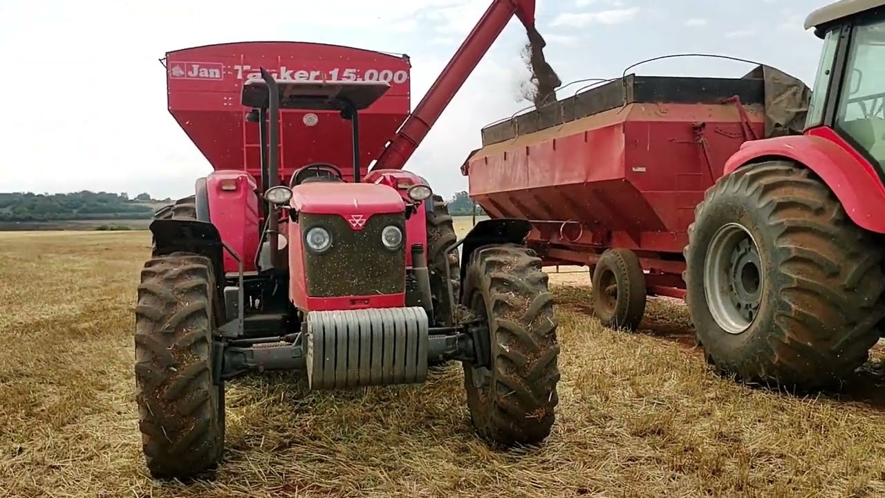 Andan&ccedil;as de Railux......segue a lida....