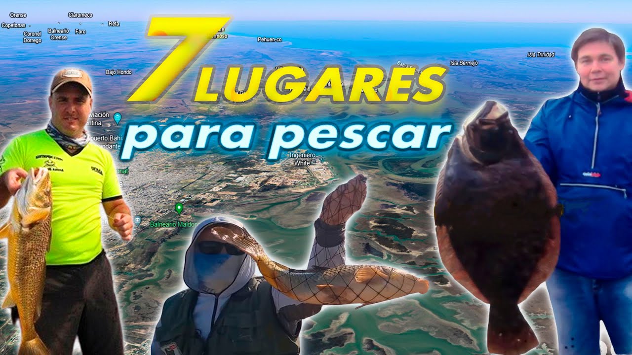 TODOS MUY RENDIDORES (en Bahía Blanca)